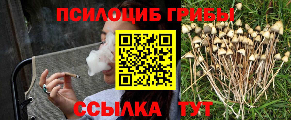 Псилоцибиновые грибы мицелий  Вход с VPN  Соль-Илецк 