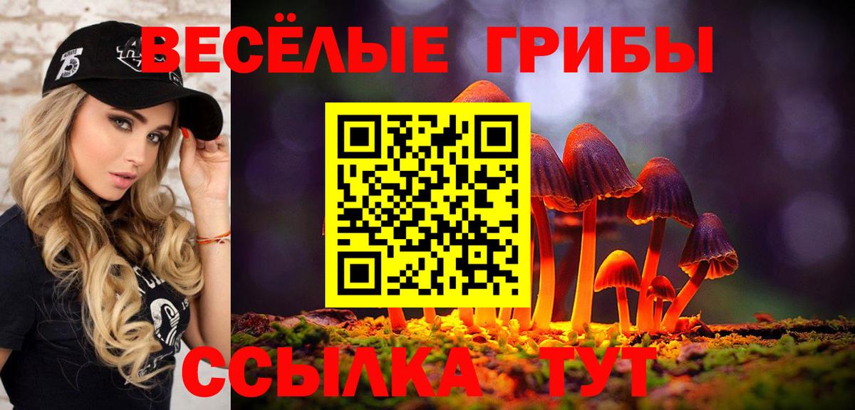 Псилоцибиновые грибы Psilocybe Соль-Илецк